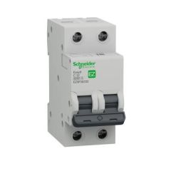 SCHNEIDER EZ9F56232 EZ9F56232 2*32A 6KA C EĞRİSİ W OTOMAT SİGORTA