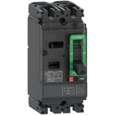 C10F2TM080 NSX100F AC/DC 18kA 2P 80A DEVRE KESİCİ