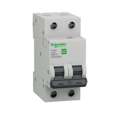 SCHNEIDER EZ9F56250 EZ9F56250 2*50A 6KA C EĞRİSİ W OTOMAT SİGORTA