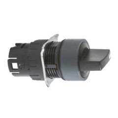 SCHNEIDER ZB6AD25 ZB6AD25 GERİ DÖNÜŞÜMLÜ START STOP ANAHTARI