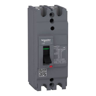 SCHNEIDER EZC100H2100 EZC100H2100 30kA 2*100 A SABİT TER.MAN. ŞALTER