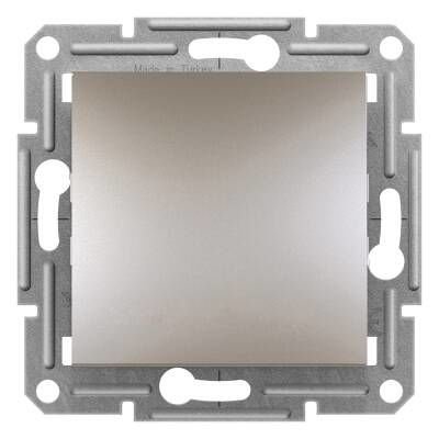 Schneider Electric EPH0200169 EPH0200169 ÇİFT KUTUPLU ANAHTAR BRONZ