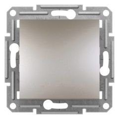 Schneider Electric EPH0200169 EPH0200169 ÇİFT KUTUPLU ANAHTAR BRONZ