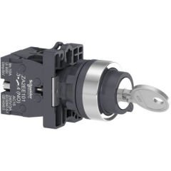 SCHNEIDER XA2EG33 XA2EG33 1NA+1NA KİLİTLİ BUTON