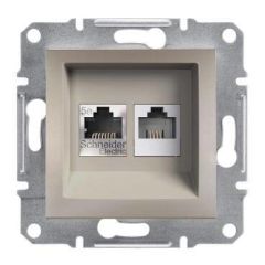 Schneider Electric EPH4900169 EPH4900169 RJ11 + RJ45 Cat5e BRONZ