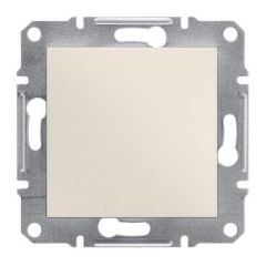 Schneider Electric EPH5670123 EPH5670123 KÖR KAPAK KREM ÇERÇEVESİZ