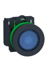 SCHNEIDER XB5FW36B5 XB5FW36B5 30MM 1NO+1NC 24VAC/DC S.A MAVİ BUTON
