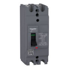 EZC100H2040 30kA 2*40 A SABİT TER.MAN. ŞALTER